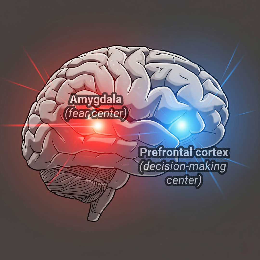 Akrasia và amygdala là kẻ thù thầm lặng của thành công; Quy tắc 5 giây giúp bạn hành động trước khi nỗi sợ thắng.